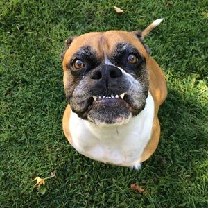 Meet your Posher, Grace